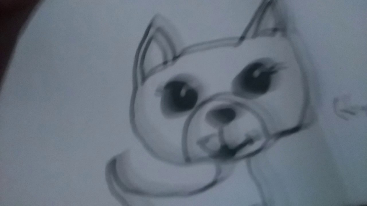 LPS balík nejhorší balík ever 😠 balík od sso elí a agy sso je nej dokoukat!