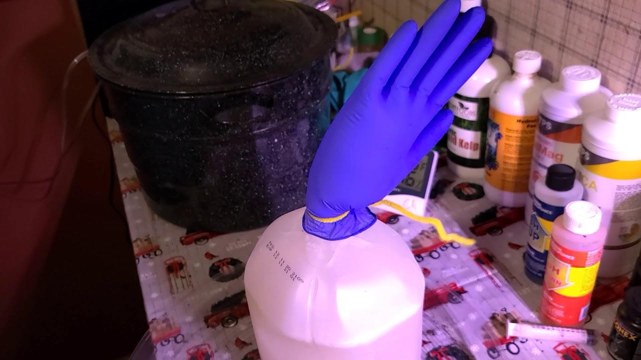 Homemade CO2 generator,  in time lapse