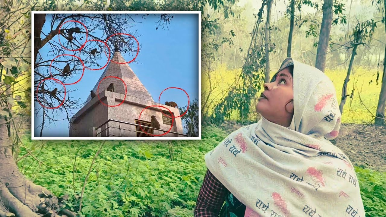 Mummy Ke Sath Temple Gaya Bhut Monkeys 🐒 Mil Gaye 😳