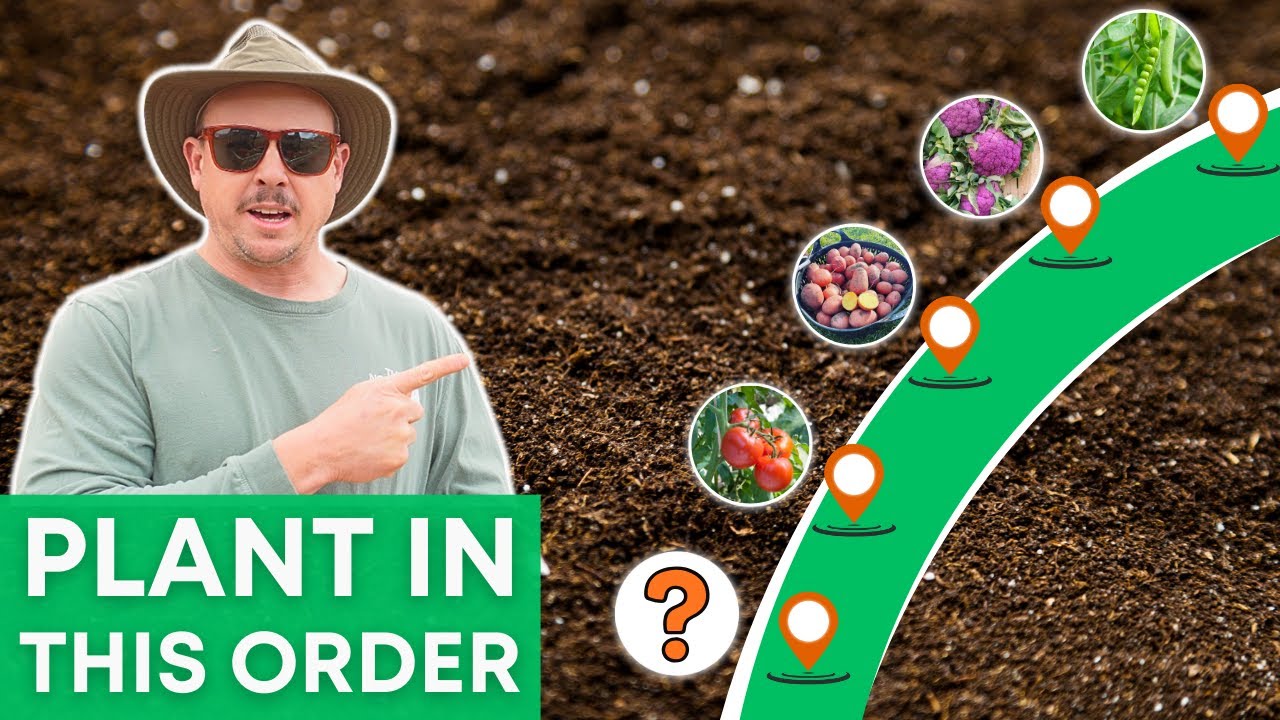 The Spring Garden Timeline That Works for Everyone!