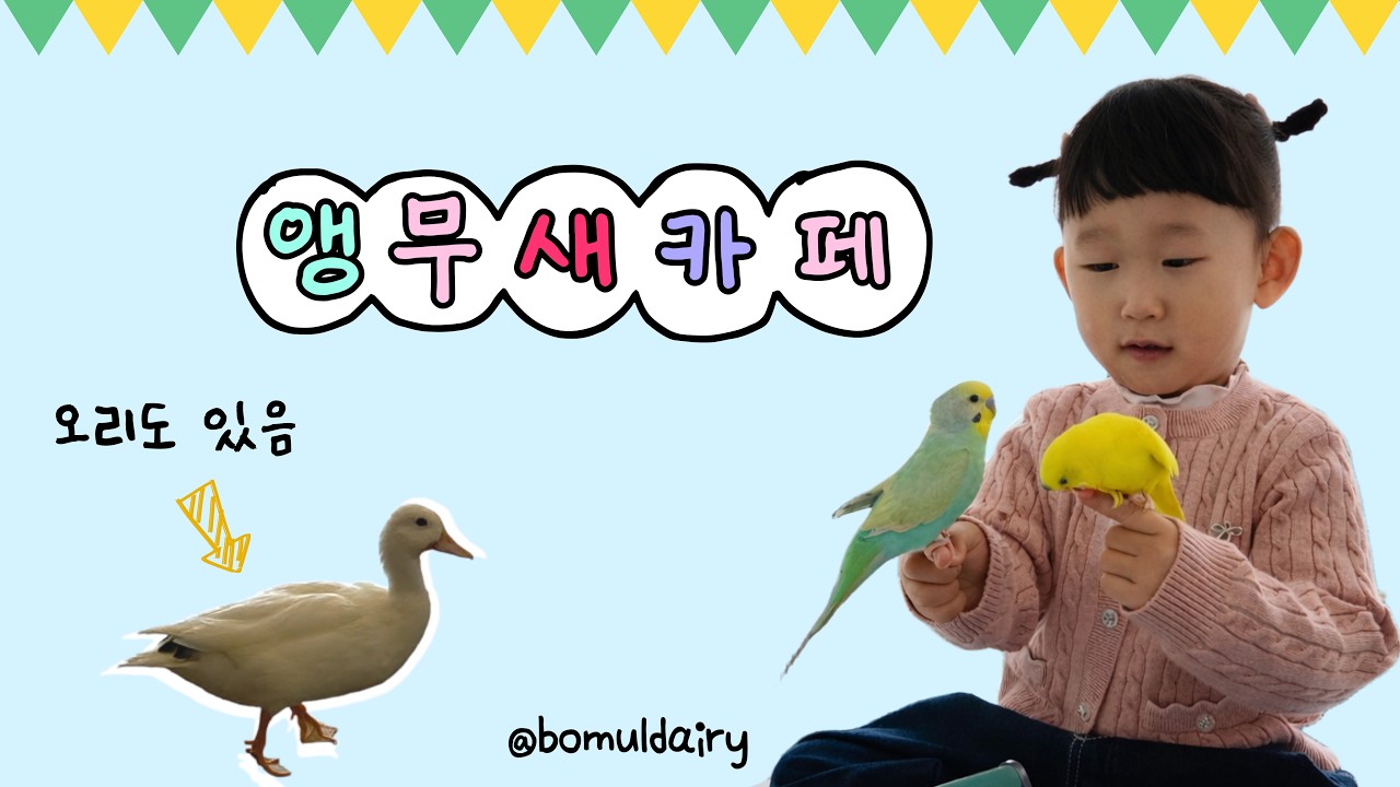 🦜앵무새카페