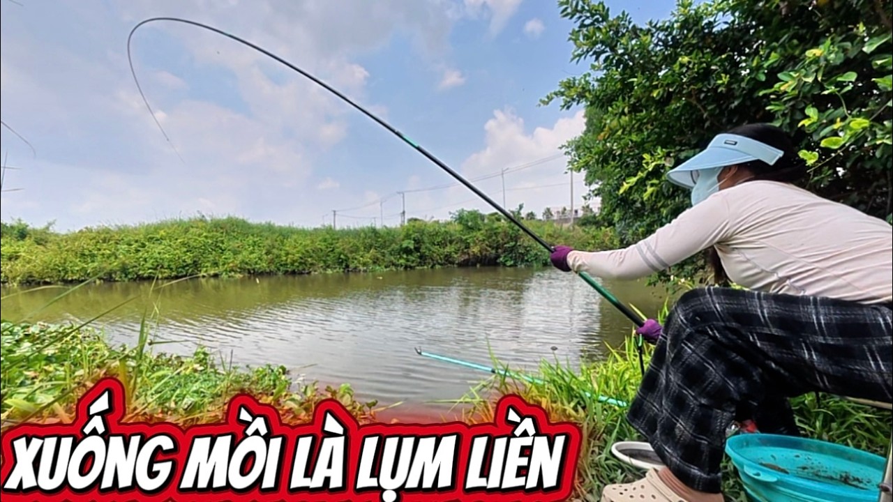 Thử mang cần câu đài ra sông lớn đụng bầy cá đang đói mồi và cái kết làm món ăn tuổi thơ miền tây