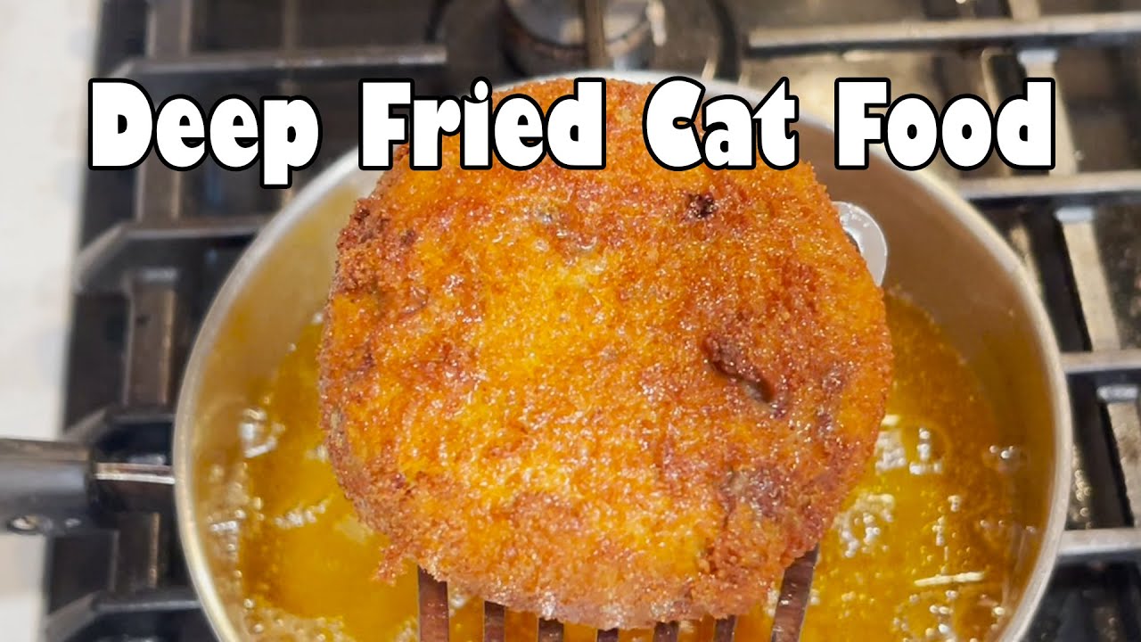 Deep Fried Cat Food