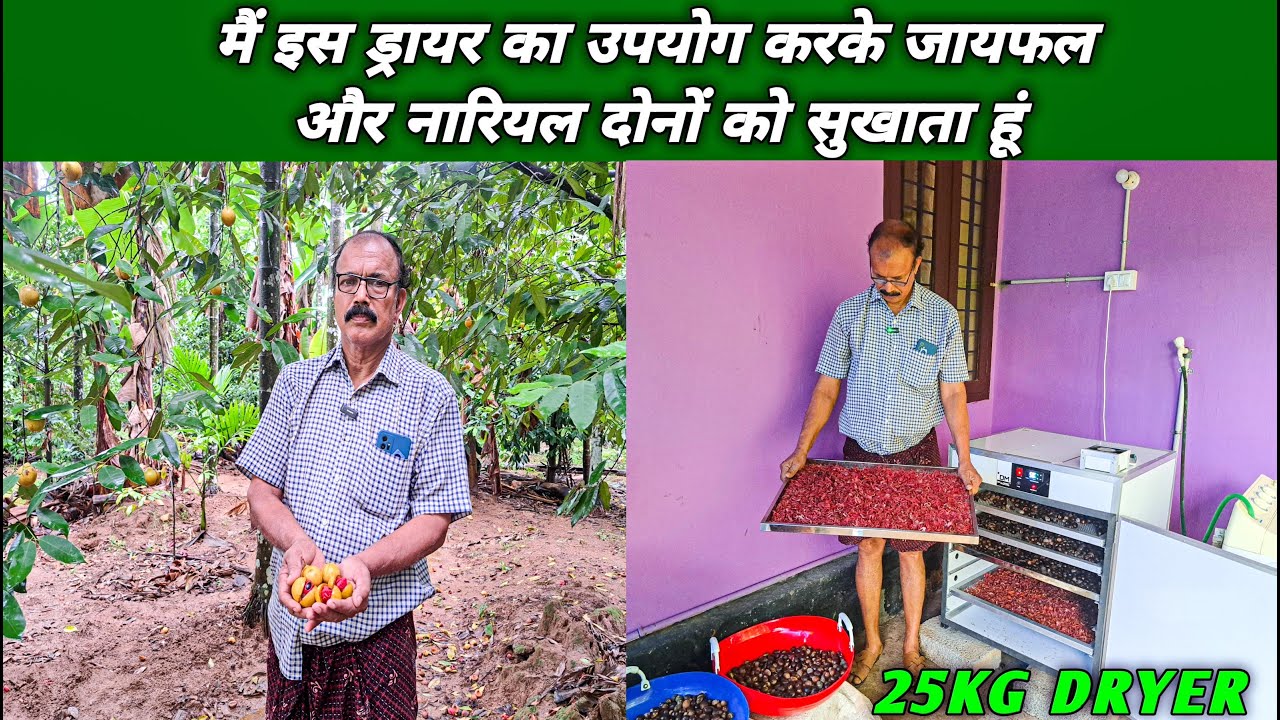 कृषि और मिट्टी के प्रति अपने जुनून के कारण धीरा जवान एक प्रकार के किसान बन गए जायफल, नारियल, केला सब