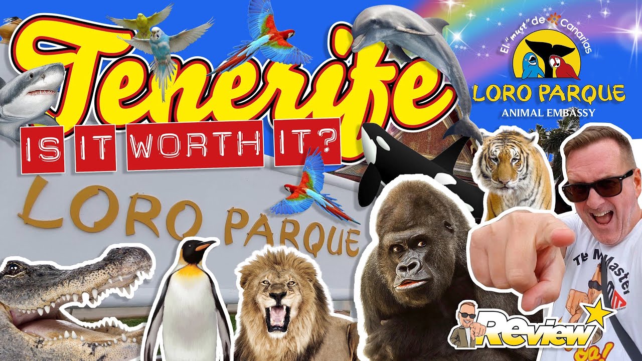 Tenerife 2020 Loro Parque - Is It Worth Visiting? All You Need To Know!