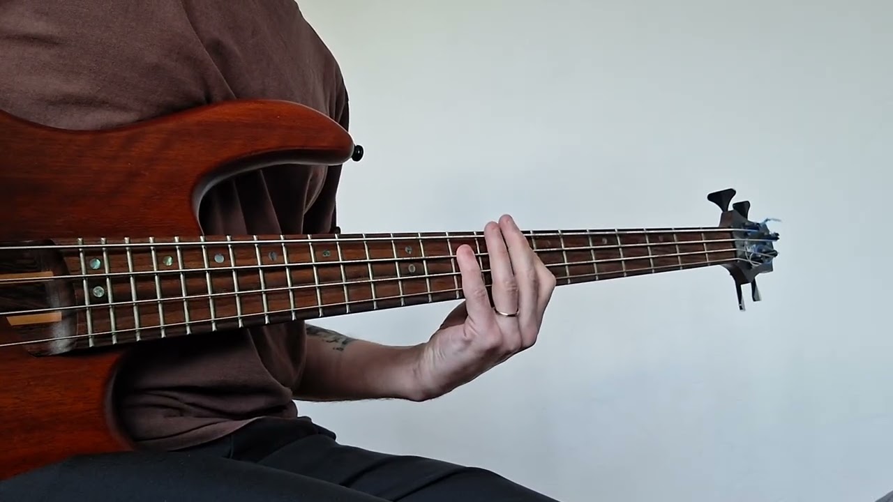 JOURNÉE DE LA FEMME = titre de circonstance : Eddy Mitchell - Tu es son homme (bass cover)