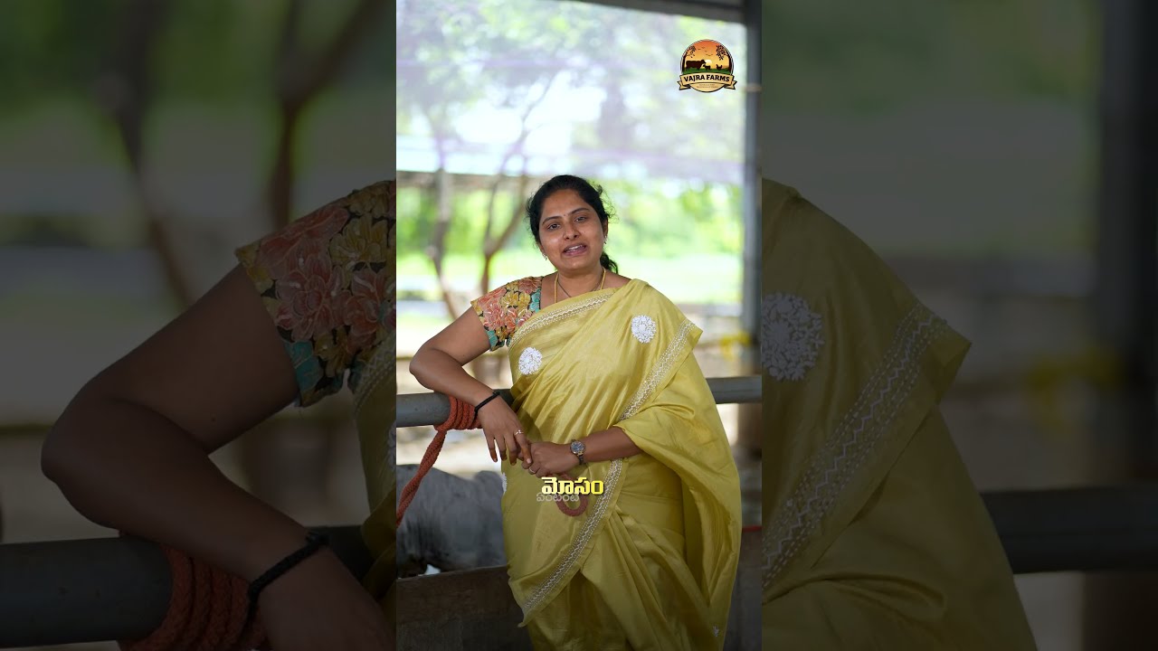 నమ్మించి మోసం చేశారు! | Laxmi Delivery Update | Vajra Farms