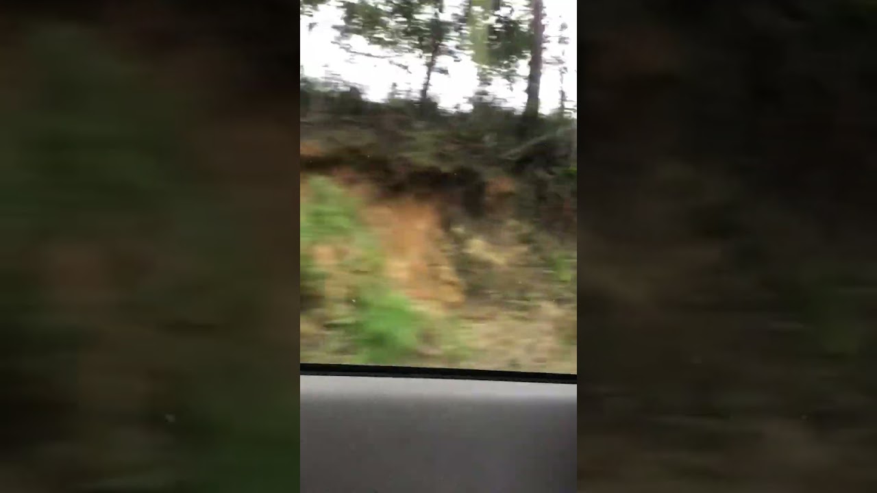 A cyclone hit me