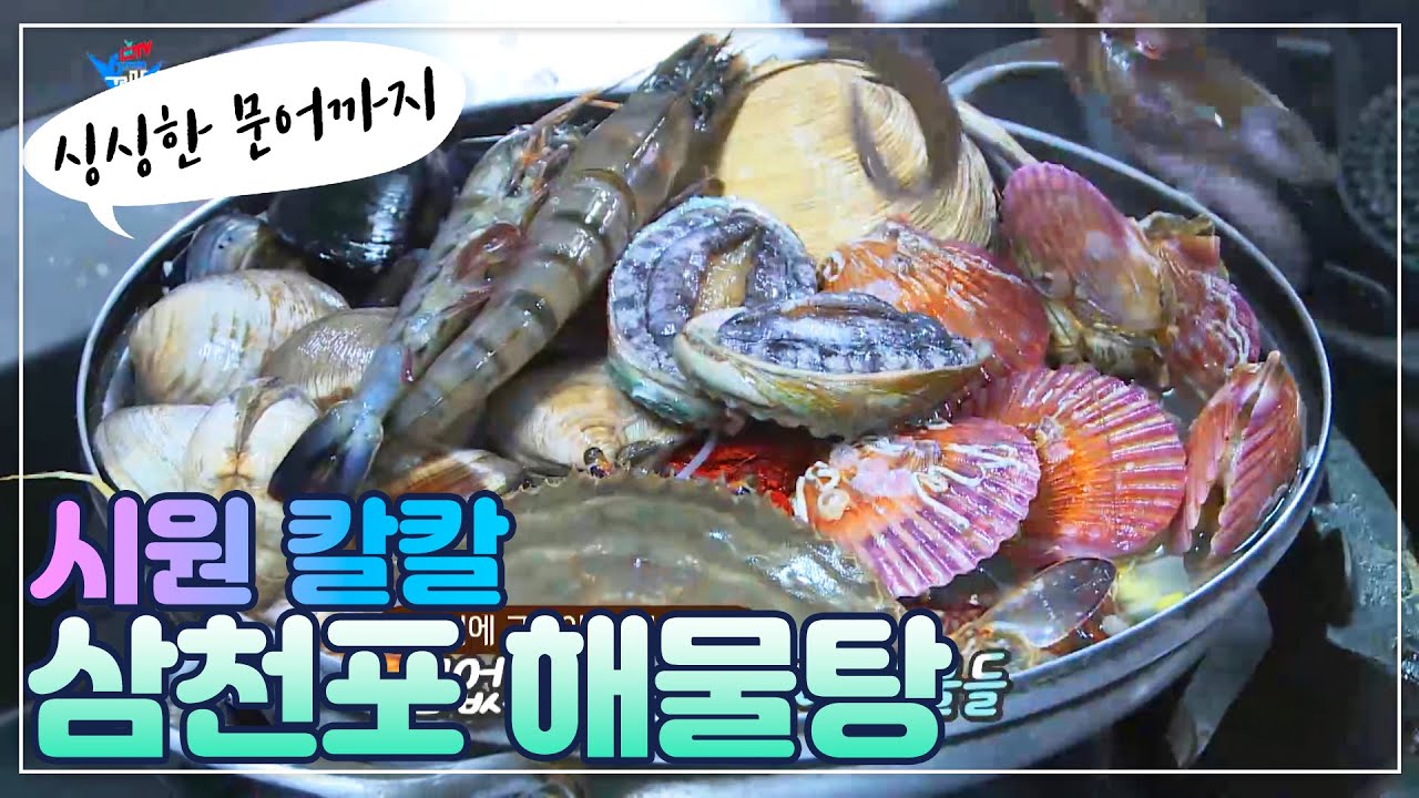 삼천포 해물탕 맛집 원조 양지해물탕
