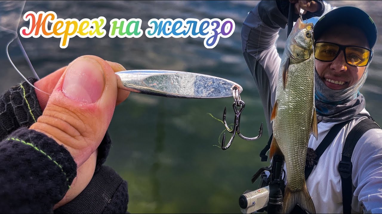 Жерех НА КУСОК ЖЕЛЕЗА! СУМАШЕДШАЯ ПРОВОДКА! Рыбалка на Жереха