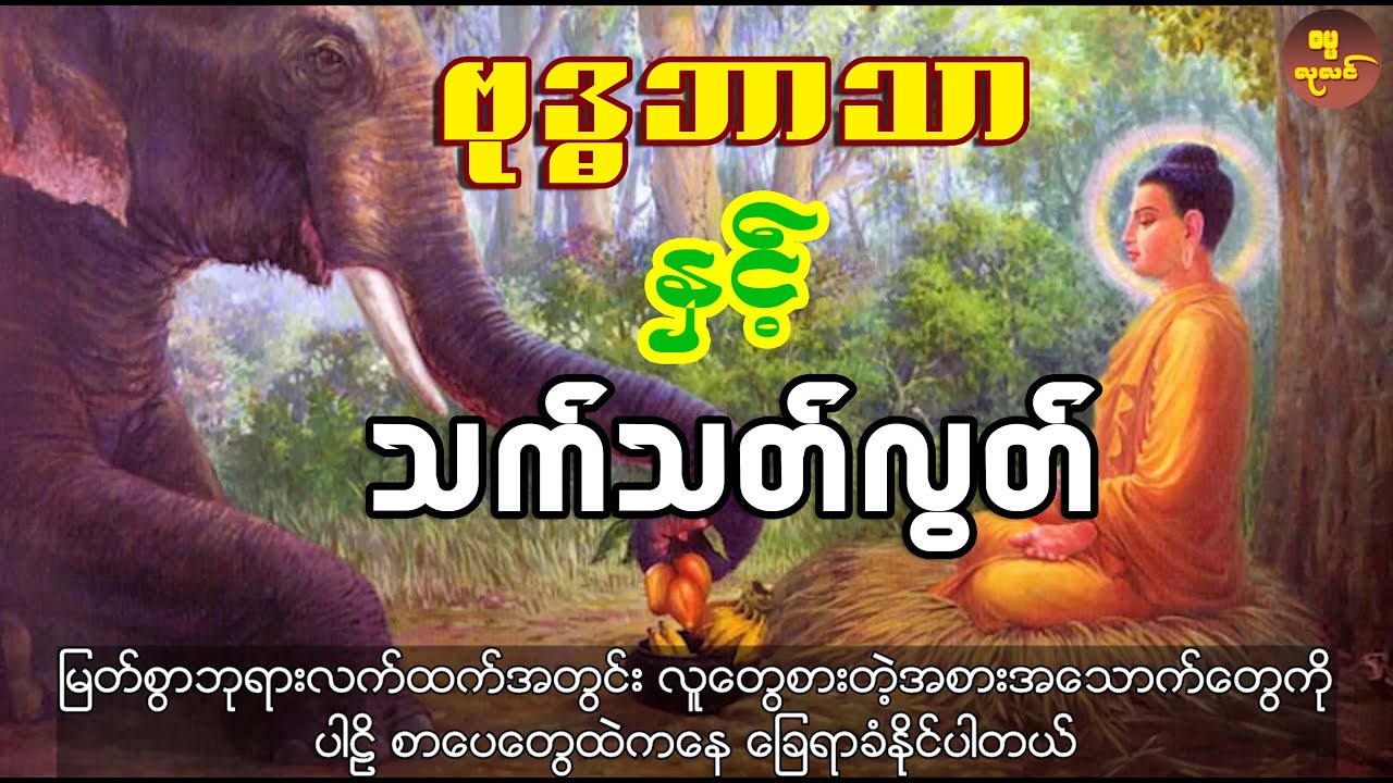 ဗုဒ္ဓဘာသာဝင်များအကြား အယူအဆလွဲမှားနေကြတဲ့ သက်သတ်လွတ်စားခြင်းအကြောင်း