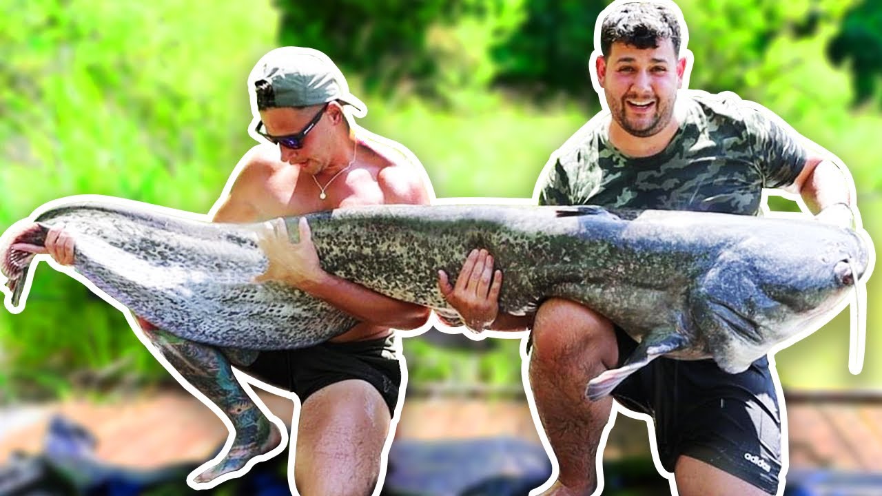Catching 120lb Monster Catfish!