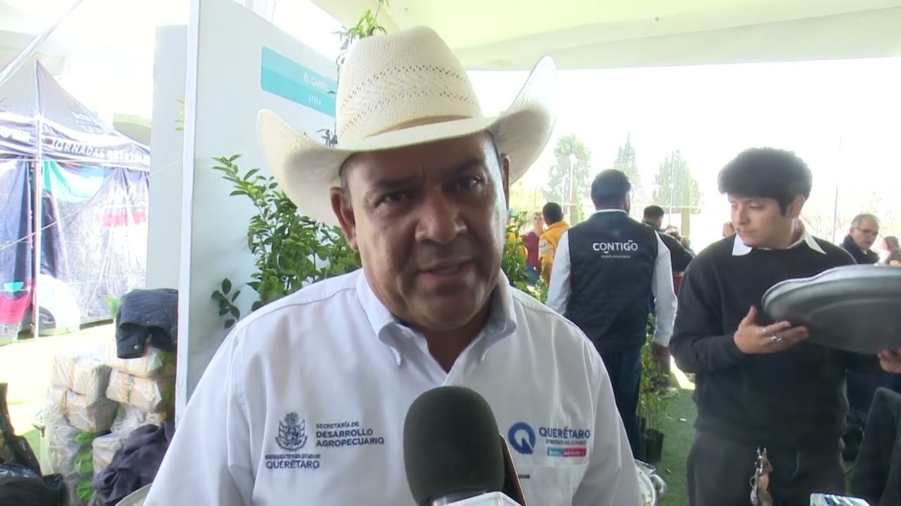 GUSANO SEDEA: REGISTRA QUERÉTARO 40 CASOS