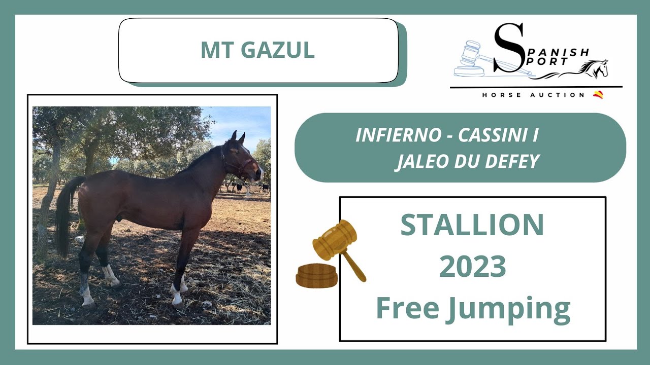 MT GAZUL