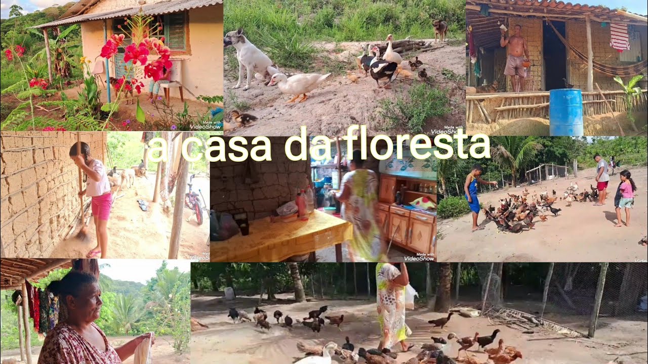 Dormimos na casinha de taipa almoço no fogaõ de lenha nossa simplicidade na roça vida simples