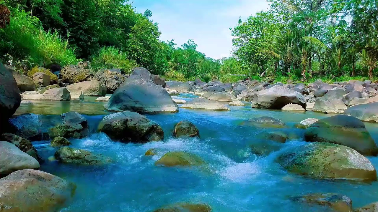 Ambient River in the Woods | ASMR Nature for Focus & Calm