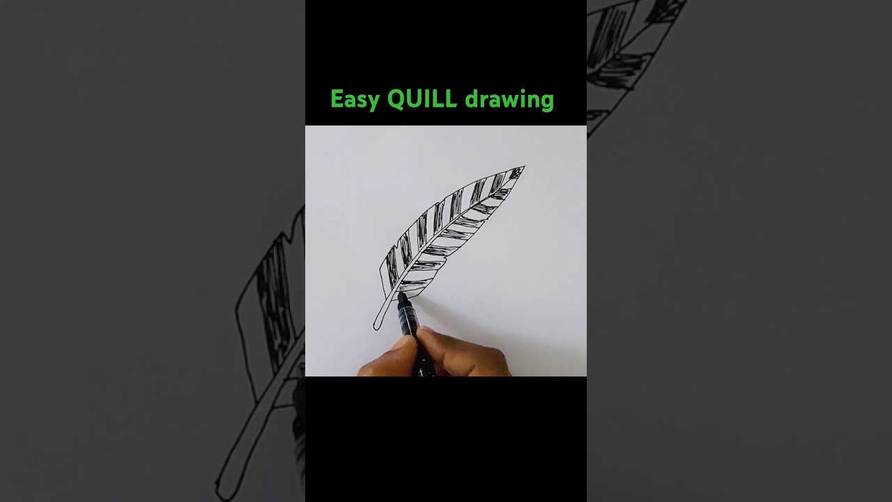 Easy QUILL drawing