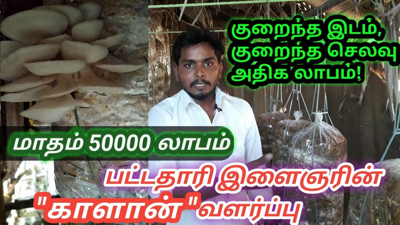 மாதம் 50000 லாபம் ---பட்டதாரி இளைஞரின் காளான் வளர்ப்பு