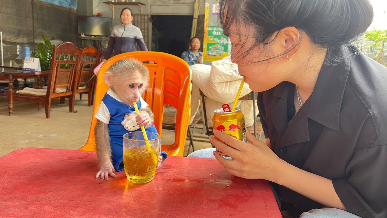 So cute! Cubis luxury invited Auntie to coffee
