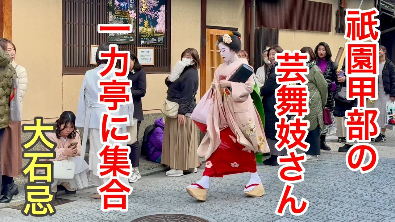 2025年3月20日 お茶屋一力亭に集まる芸舞妓さんたち Geiko and Maiko of Gion 【4K】祇園大石忌