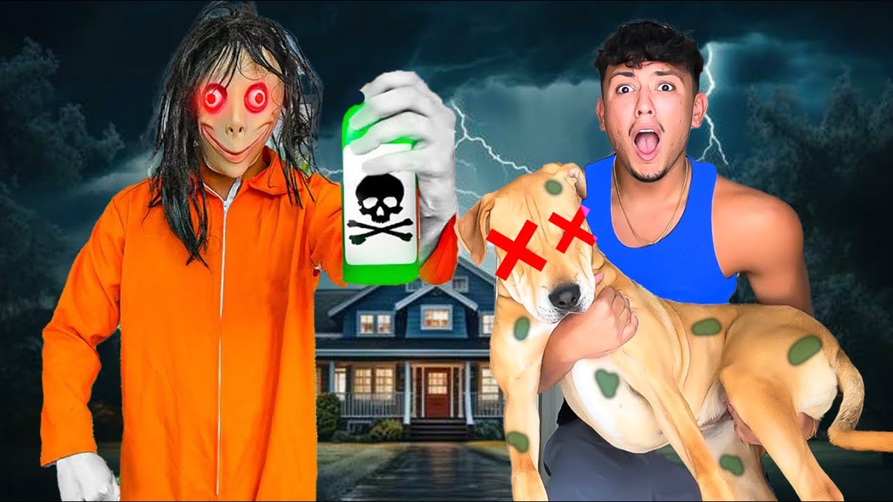 HE Tried To KILL My Dog..
