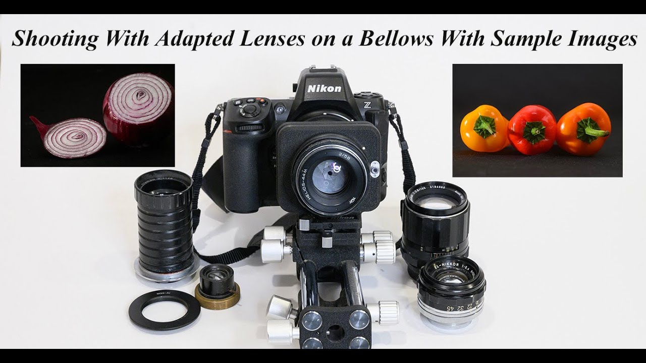Shooting with Adapted Lenses on a Bellows With Sample Images