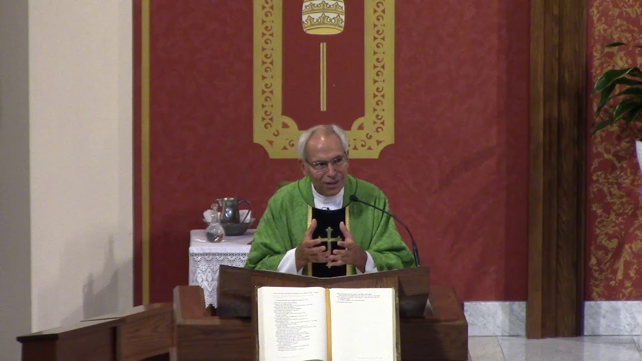 Seventeenth Sunday in Ordinary Time (Year B) - Fr. Hahn