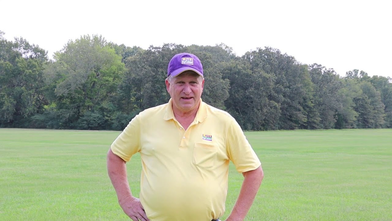 Fertilizers and Pasture Fertilization – 2020 Virtual Beef and Forage Field Day
