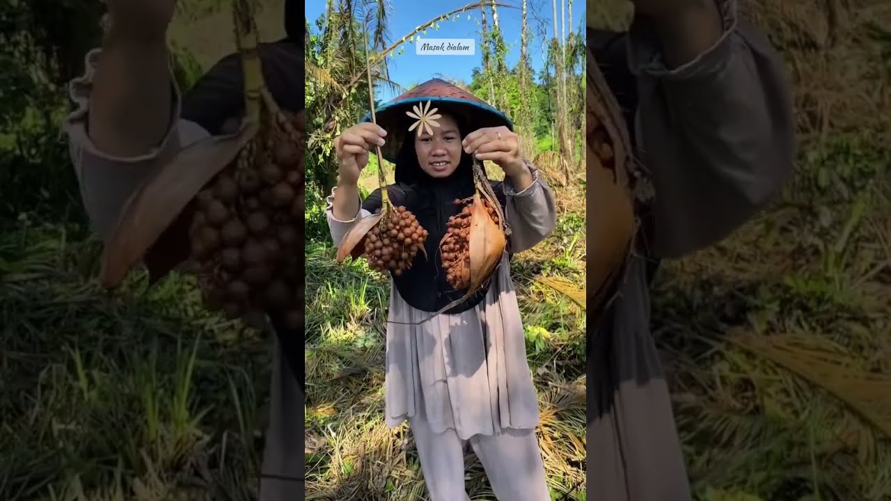 Masak humbut rotan atau humbut pahit yang ada di sekitar ladang kami, emang seenak itu gaes 🤤