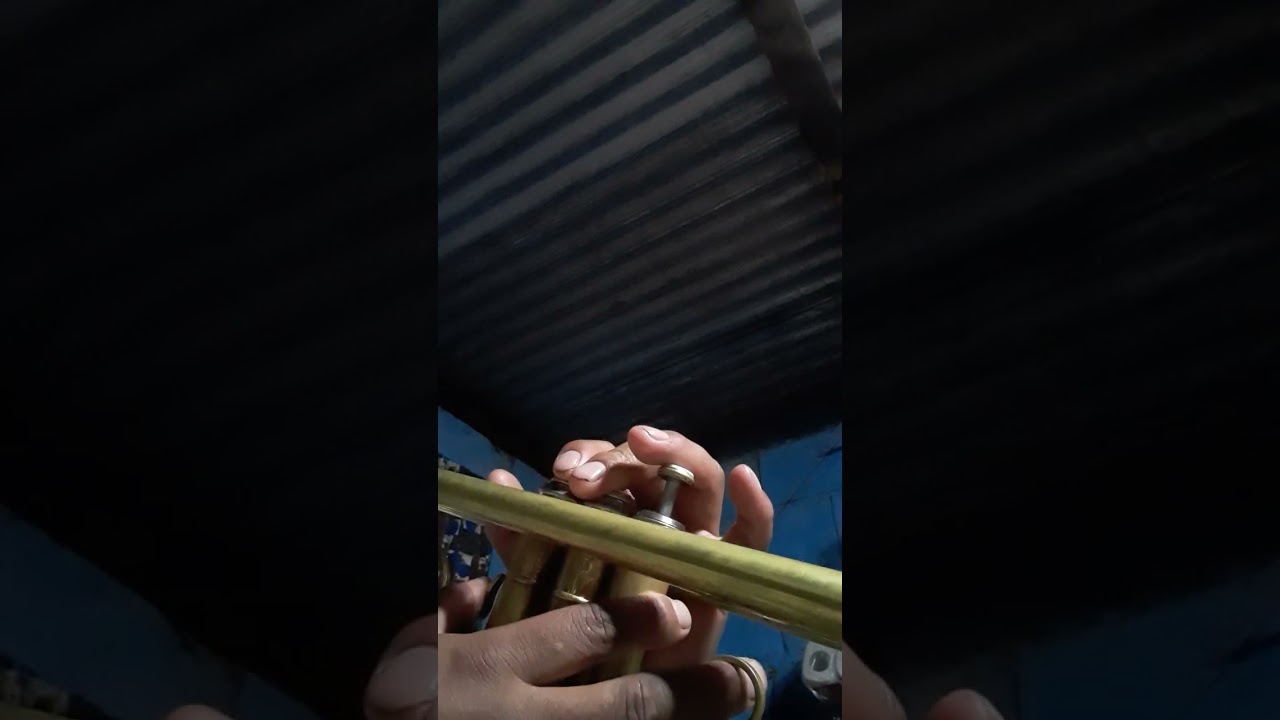 17 años trompeta notas