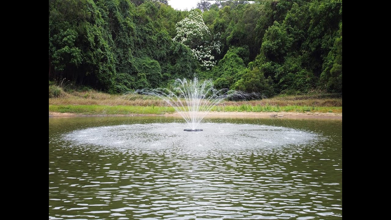 How to Clean & Maintain Your HQUA FS01/FS02 Fountain Pump