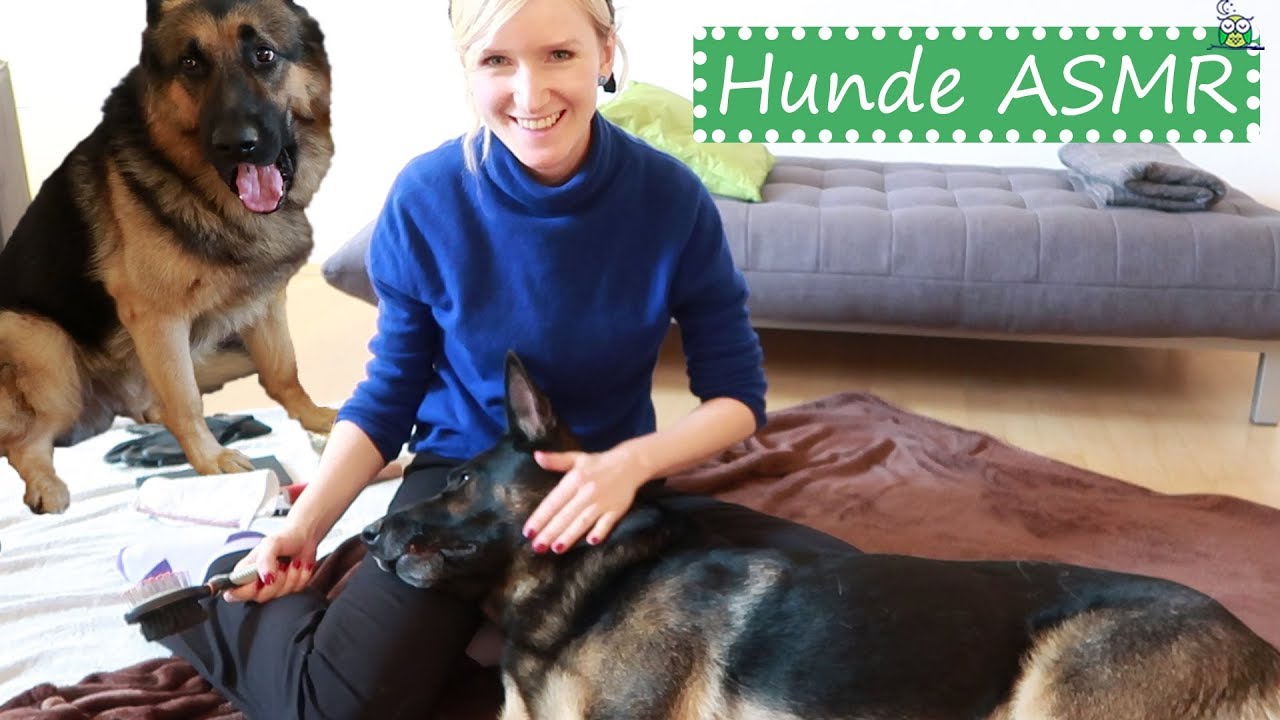 ASMR SPA für Hunde 🐶💤 (geht schief)