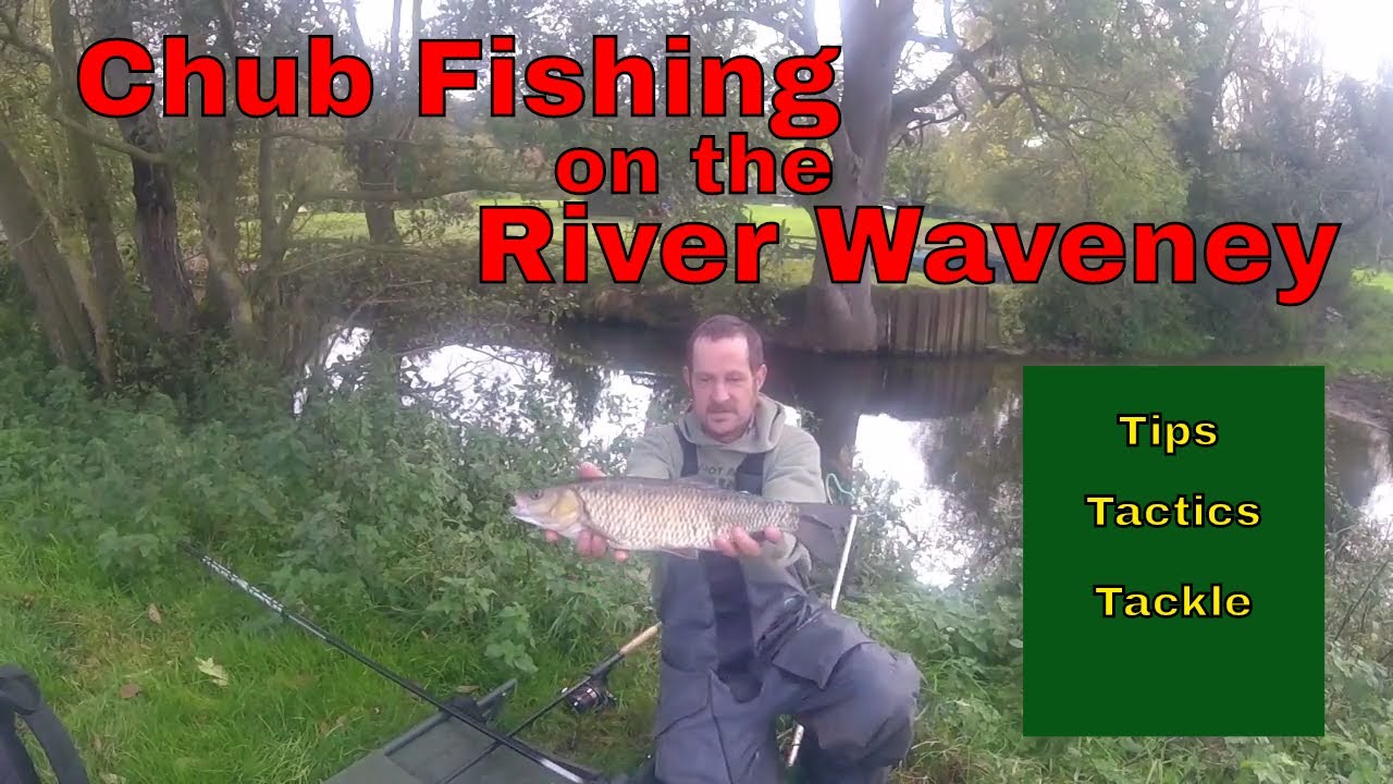 CHUB FISHING RIVER WAVENEY autumn days