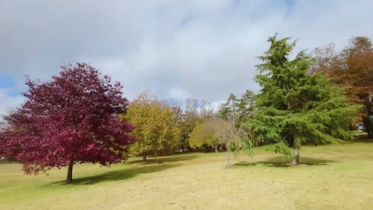Autumn Weed | bcoyFPV
