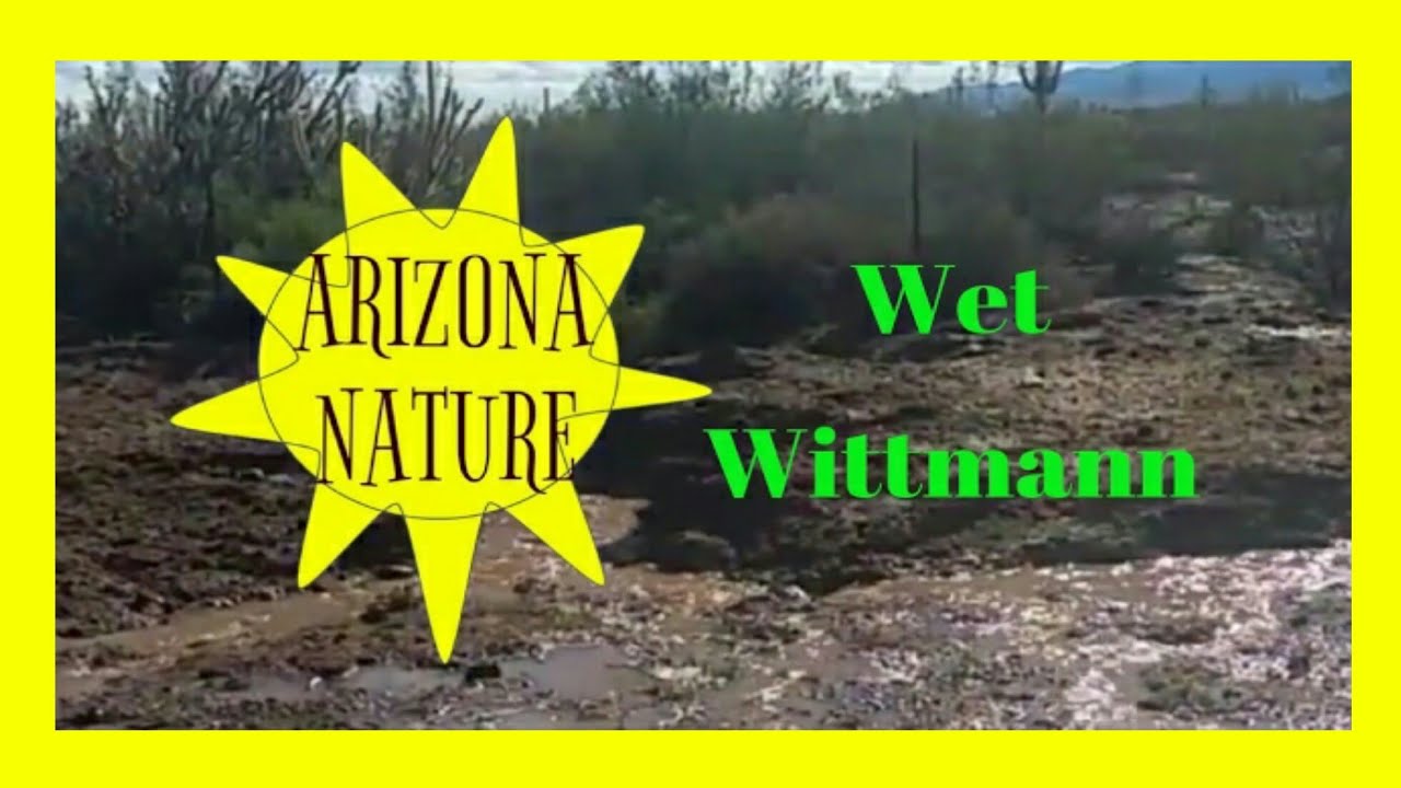 Arizona Nature - Wet Wittmann