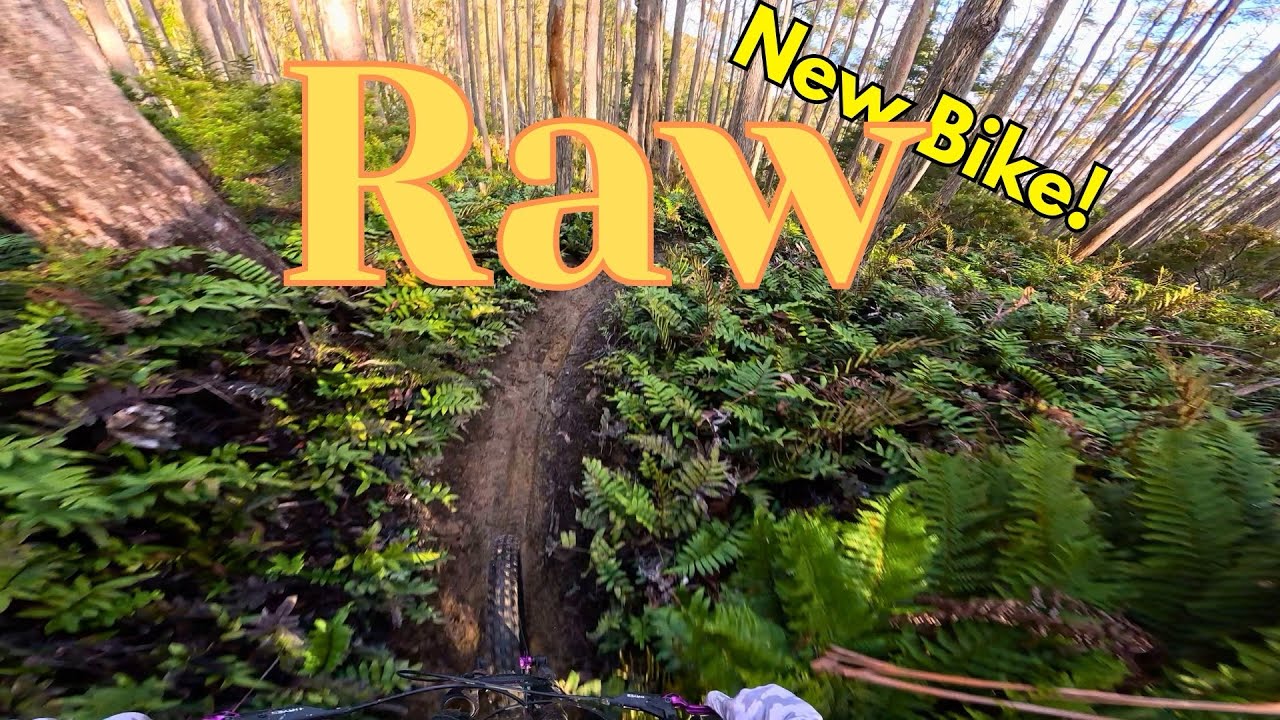 RAW Downhill MTB | Zerode G3