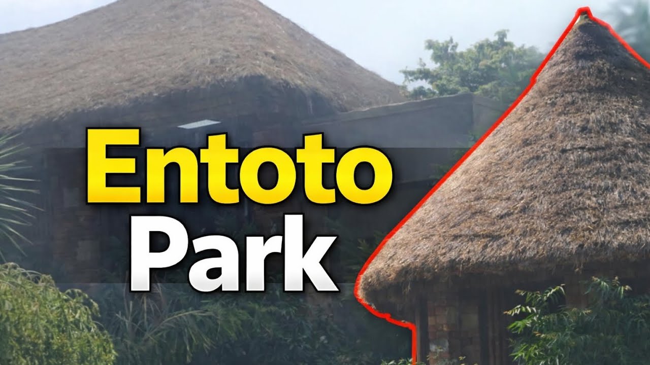 The Riders Ranch Restaurant at Entoto Park#ethiopia #youtubeshorts #viral 