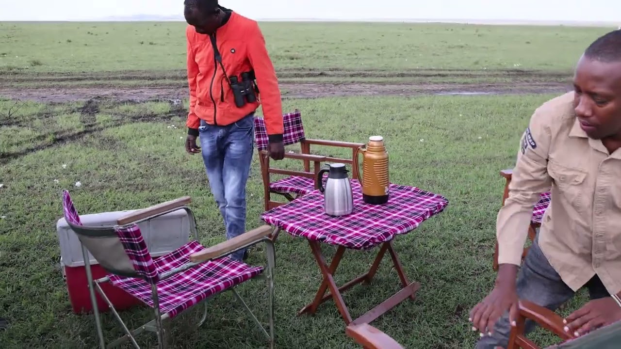 Birds and birdwatching in Kenya