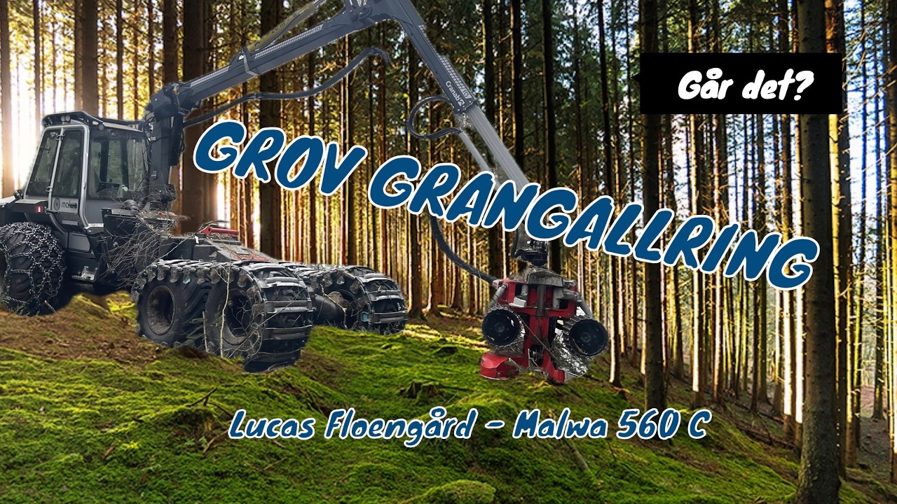 Grov gallring! Klarar Malwa 560C detta?!