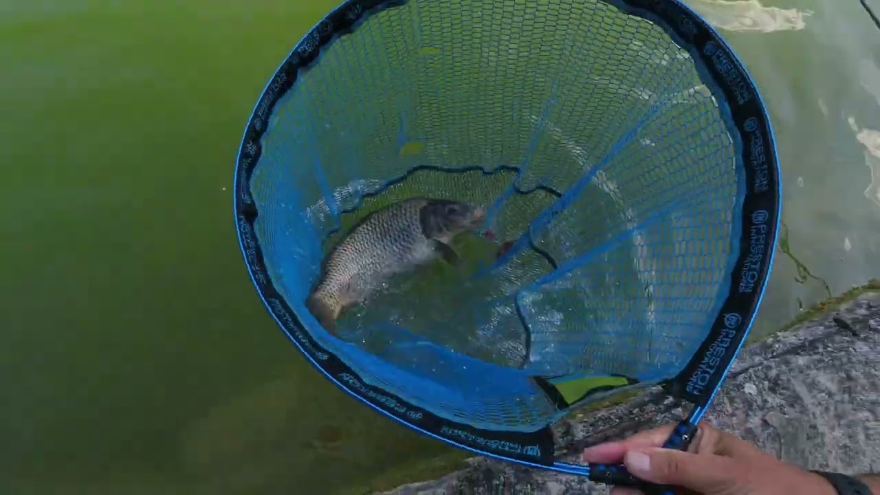 Test rod  Freespirit Hi's Carp feeder 10