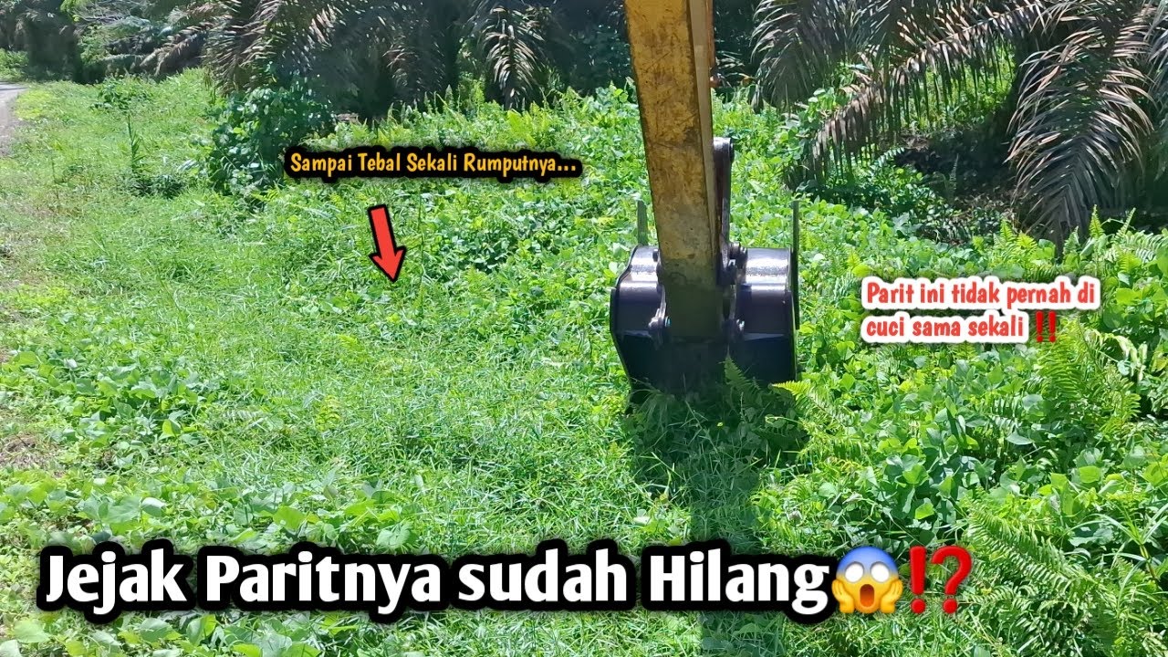 Jejak paritnya sudah Hilang😱⁉️Sampai tebal sekali Rumputnya||Parit ini tidak pernah di cuci‼️