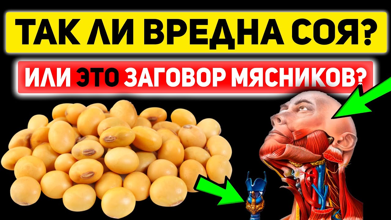 Никто Не Ожидал! СОЯ Против Мяса. Польза и Вред СОИ и Соевых продуктов. Противопоказания