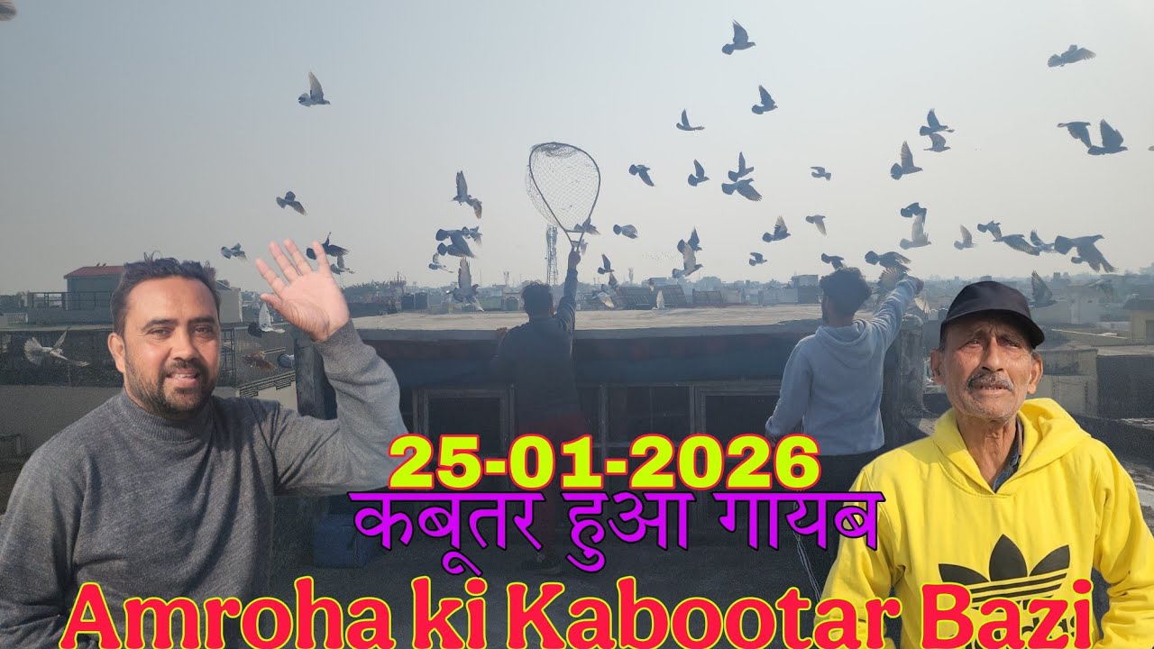 Abeer bhai talim Ustad Haji Akhtar ke kabootar ka shaandar shoq. Amroha ki Kabootar bazi