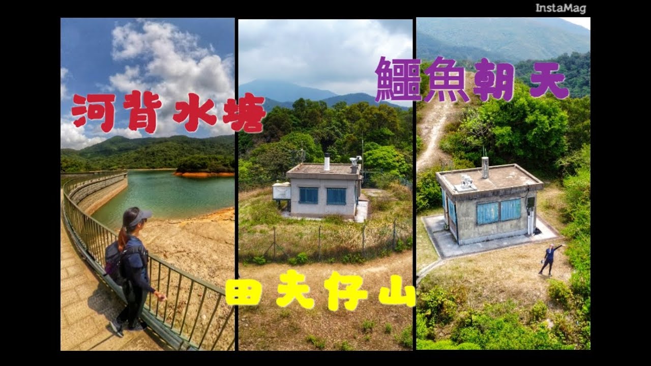 【嵐晴山上遊】連行兩個山火瞭望台｜ 鱷魚朝天｜田夫仔山｜河背水塘離開