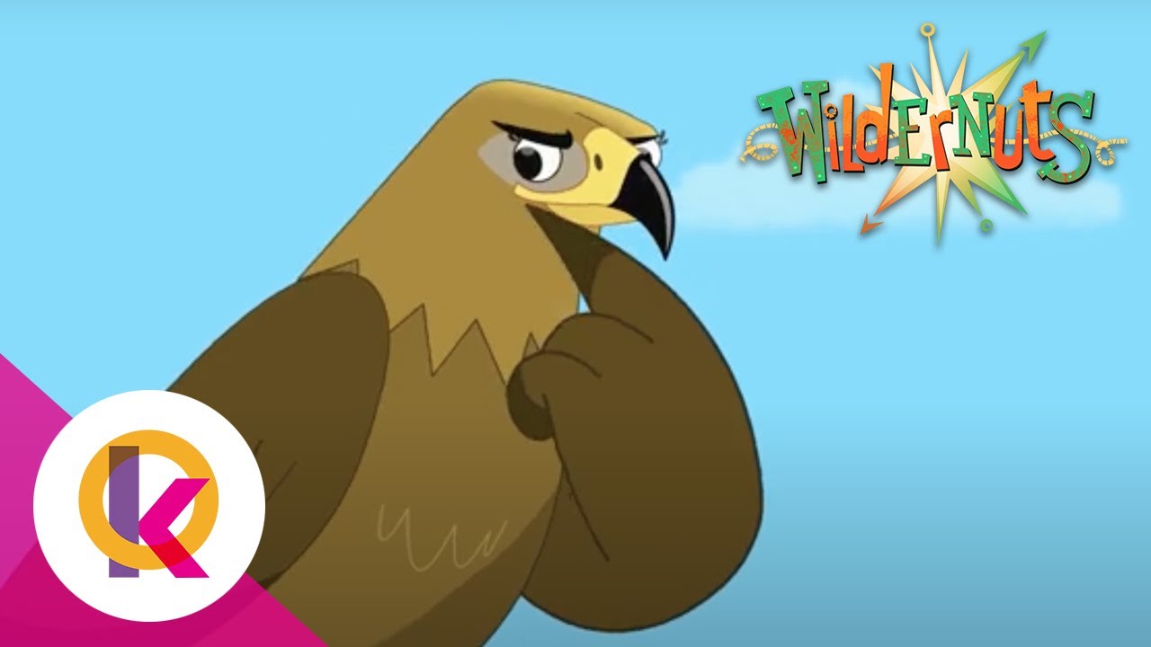 Wildernuts - Height Of Adventure | S2 E23 | Kids Cartoon!