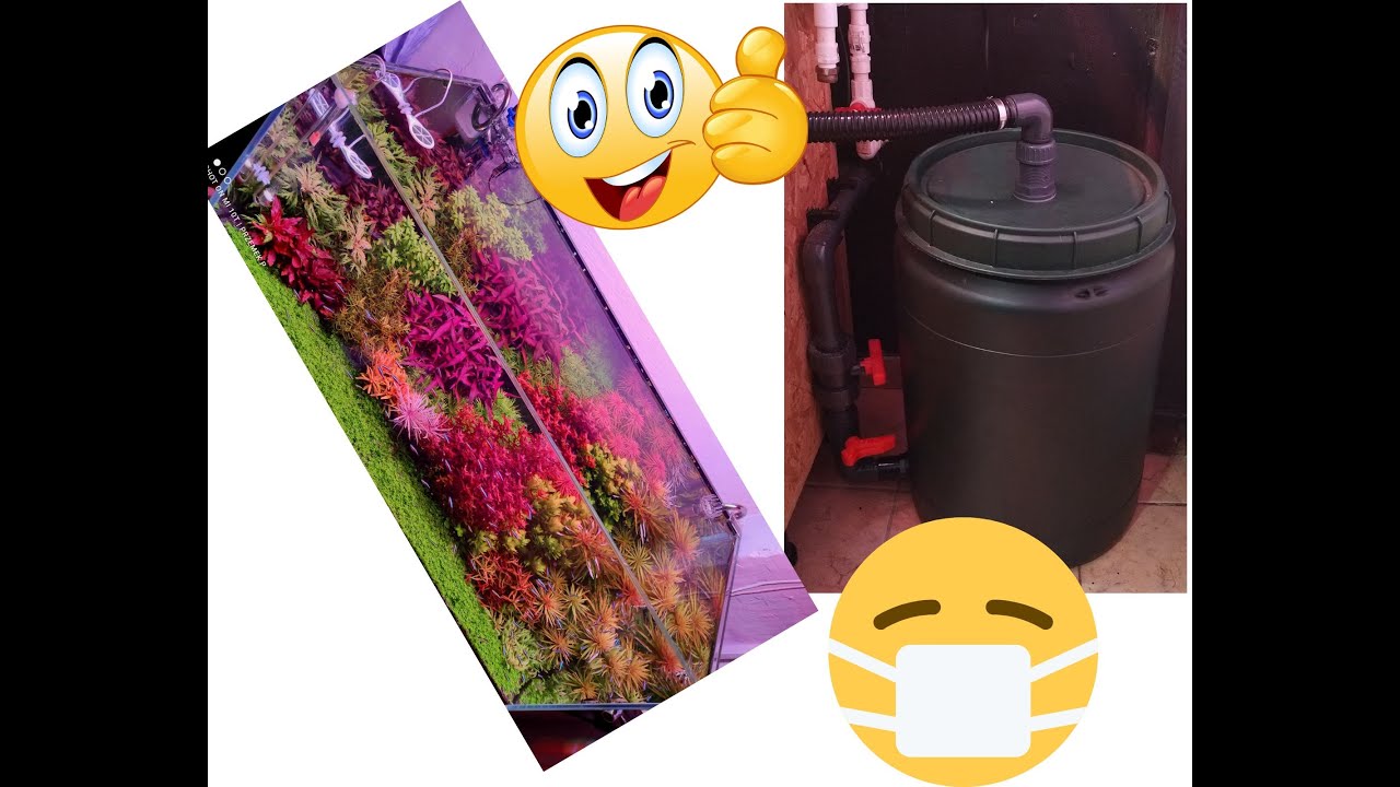 CZYSCIMY FILTR AKWARIOWY  60 LITRA POJEMNOSCI  ROK NIE RUSZANY