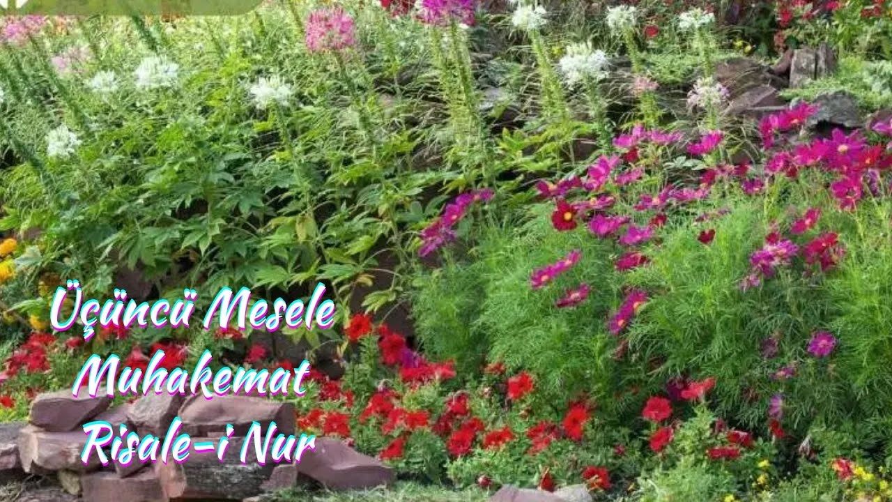 Üçüncü Mesele, Muhakemat, Risale-i Nur