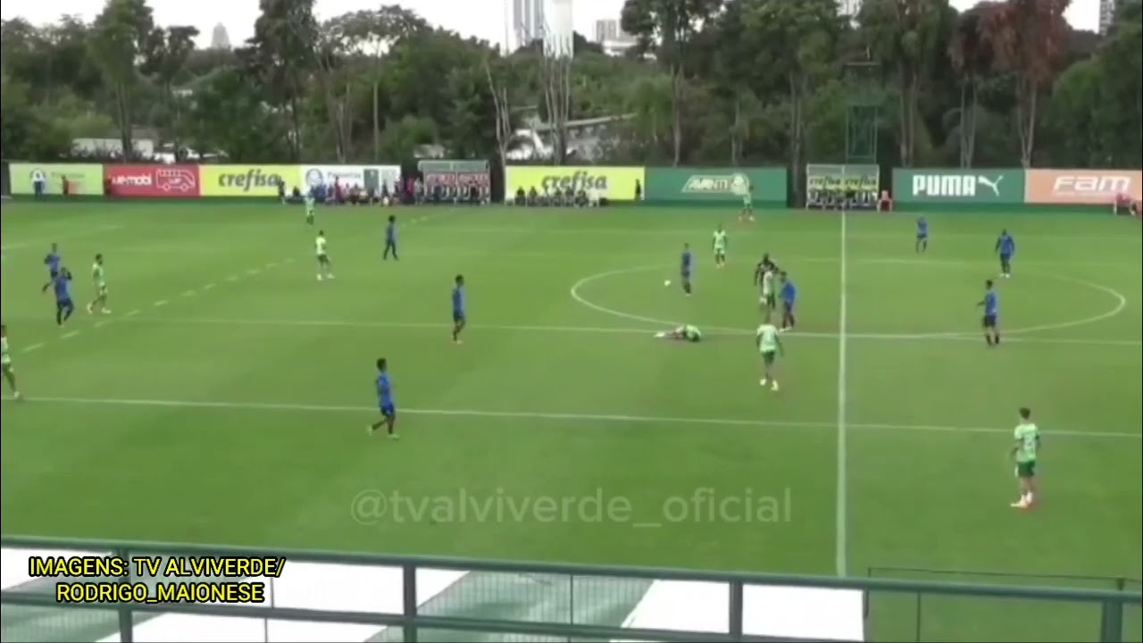 V&iacute;deo mostra lance da nova les&atilde;o de Bruno Rodrigues no Palmeiras.