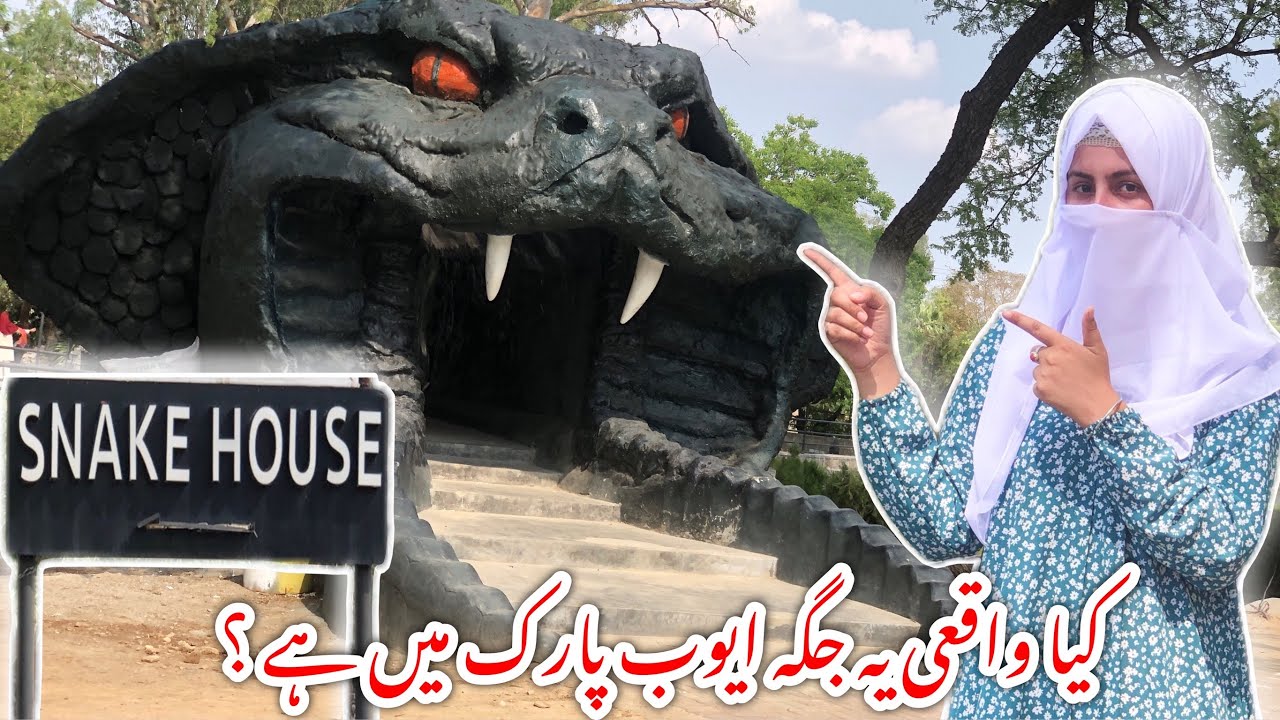 3  Hidden Places in Ayub National Park