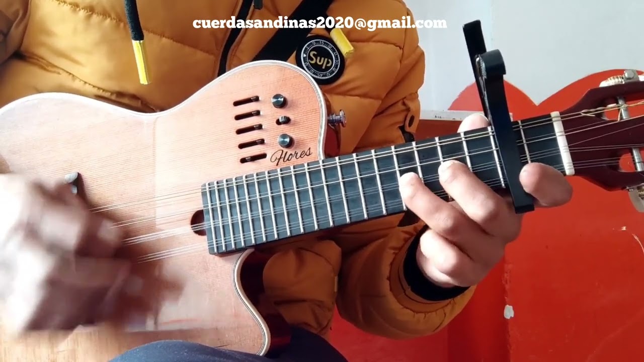 TUTORIAL PARA MANDOLINA / 